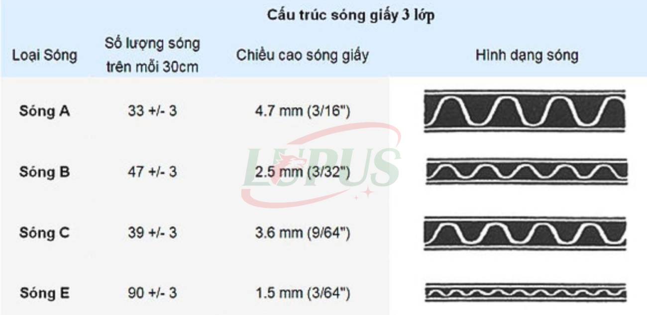 Cấu trúc các lớp sóng tấm carton - Lupus Việt Nam