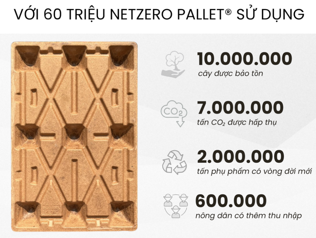 Hiệu quả của pallet giấy - Pallet giấy Đà Nẵng