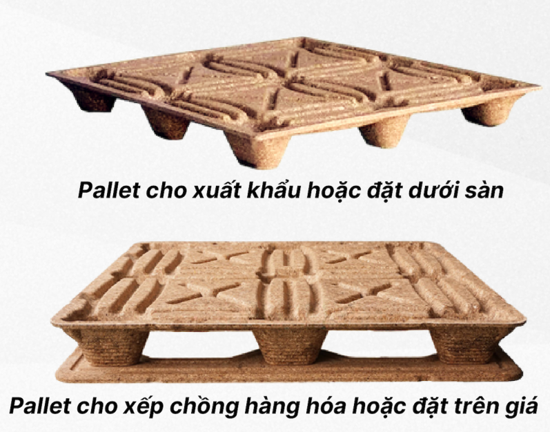 Pallet giấy tại Đà Nẵng